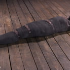 Avi Love in 'Removing Her Innocence: Avi Love'