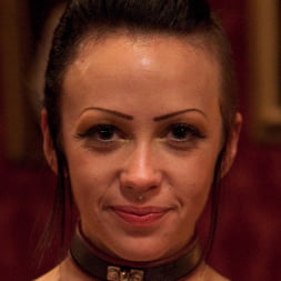 House Party: Leather Appreciation