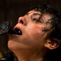Wet, Distraught and Wrecked