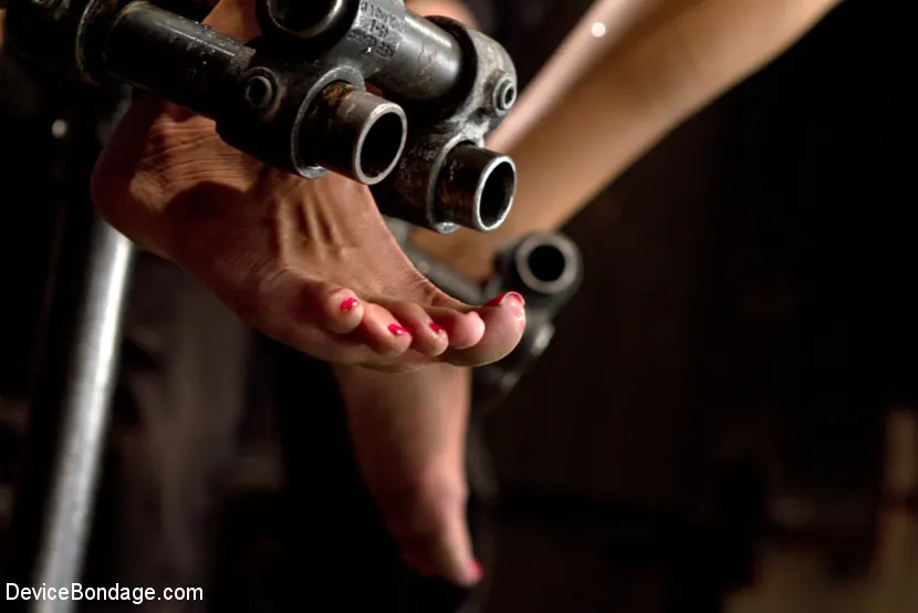Beretta James - Mojado, angustiado y destrozado | Picture (4)