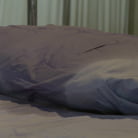 Bobbi Starr in 'Anal Antics... Ivy Mokhov'