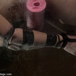 Bobbi Starr