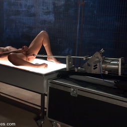 Bobbi Starr returns