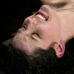 Bobbi Starr