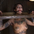 Bonnie Rotten in 'Bonnie Rotten - Tamed Whore By JP'