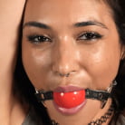 Brooklyn Gray in 'Brutal Bondage and Grueling Domination of Brooklyn Gray'