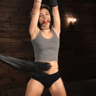 Brooklyn Gray in 'Brutal Bondage and Grueling Domination of Brooklyn Gray'