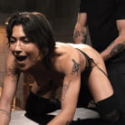 Brooklyn Gray in 'School of Submission, Day One: Brooklyn Gray'