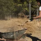 Brooklyn Gray in 'School of Submission, Day Three: Brooklyn Gray'