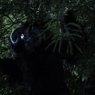 Brooklyn Gray in 'The Naughty List: Brooklyn Gray and Tommy Pistol'