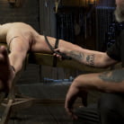 Cadence Lux in 'The New Bitch'