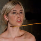 Calico in 'The Training of Calico, Day Two'