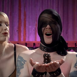 Property of Mistress Charlie Kicks, Part 1