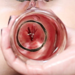 Jenna's Anal Plaything