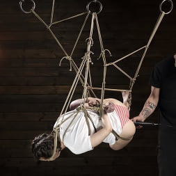 School Of Submission: Casey Calvert, Day Four