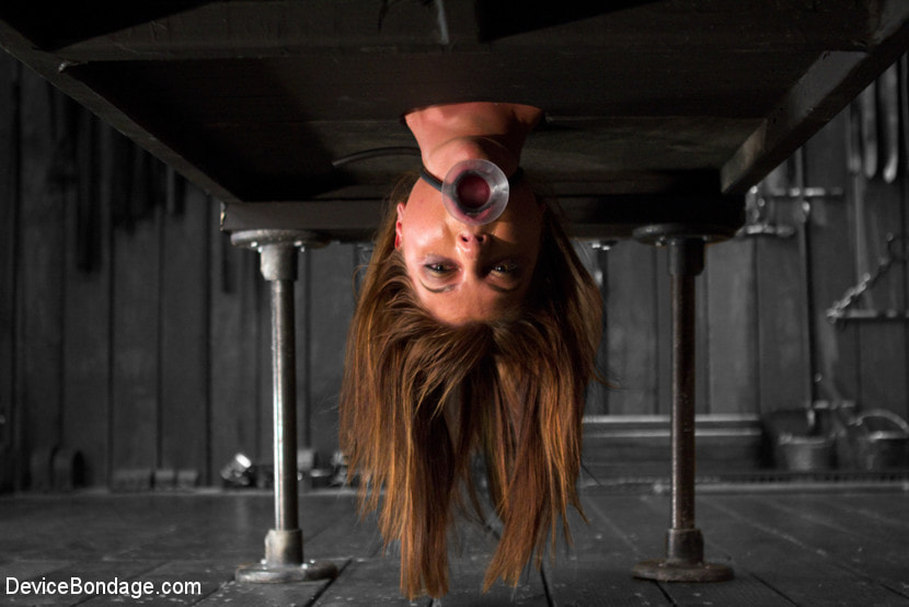 No Holds - Cassandra Nix