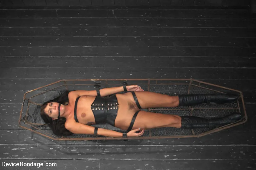 Cassandra Nix - Duro como una roca - Cassandra Nix | Picture (19)