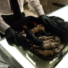 Chanel Preston in 'Airport Security'