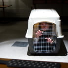 Chanel Preston in 'SCUM'