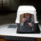 Chanel Preston in 'SCUM'