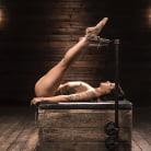 Charlie Valentine in 'Breaking In Charlie Valentine'