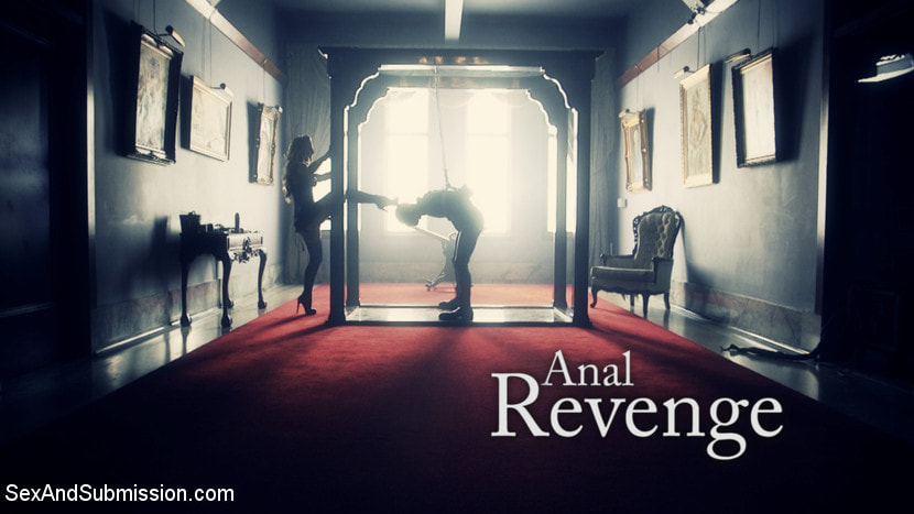 Anal Vengeance