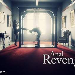 Anal Vengeance