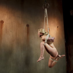 Hot Blonde with Big Tits in Brutal Predicament Bondage