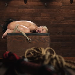 Anal Ecstasy