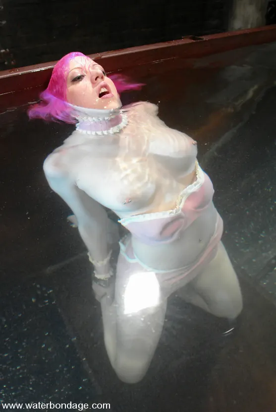Cherry Torn - ¡Cherry Torn es rosa muy sexy! | Picture (1)
