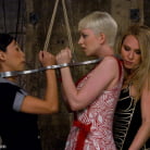 Cherry Torn in 'Companion Bitches'