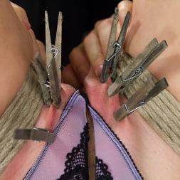 Hogtied Mangles Cherry Torn