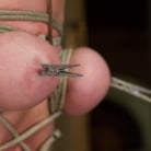Cherry Torn in 'Hogtied Mangles Cherry Torn'