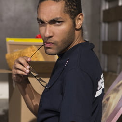 Johnson and Pecker Moving: Packing Your Box Since 69'