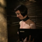 Cherry Torn in 'Service Session: Tour the Armory Part 2'