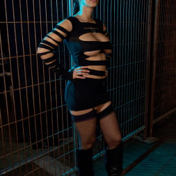 Electric Fence