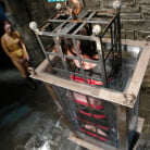 Claire Adams in 'Claire Adams Does Charlotte Brooks!'