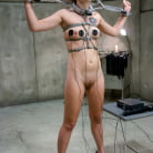 Claire Adams in 'New comer Sarah Wolfe'