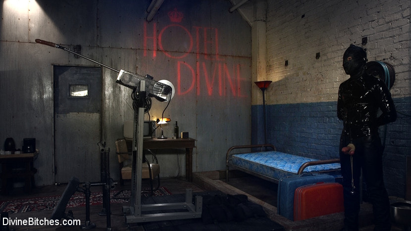 Welcome to The Hotel Divine.