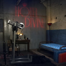Welcome to The Hotel Divine.