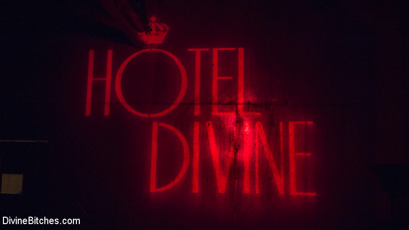 Welcome to The Hotel Divine.