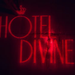 Welcome to The Hotel Divine.