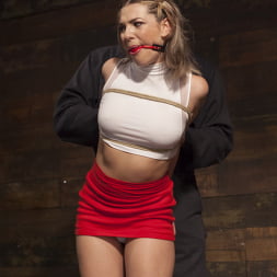Dalia destructora