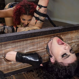 Afraid and Horny: Daisy Ducati and Lydia Black
