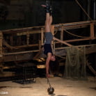 Dana Vixen in 'String Her Up, Hose Her Down'