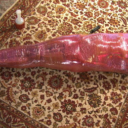 Mummification Bondage Play