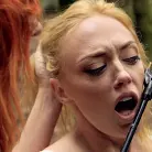 Darling in '247 Electro Sex Slave'