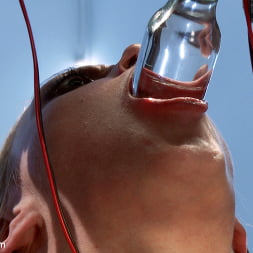 Darling Gets Electrofucked!