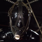 Darling in 'The Return of Darling'