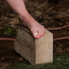 Dee Williams in 'The Last Resort: Dee Williams and Syren de Mer'